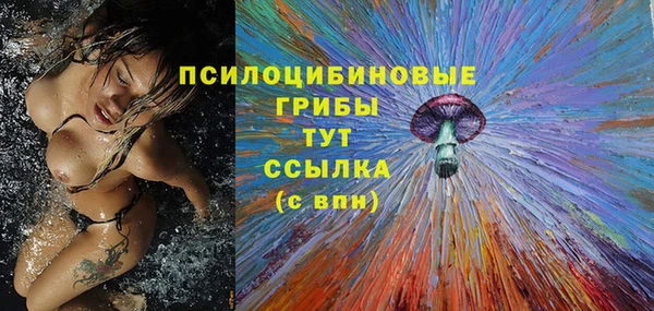 прущие крисы Гусь-Хрустальный