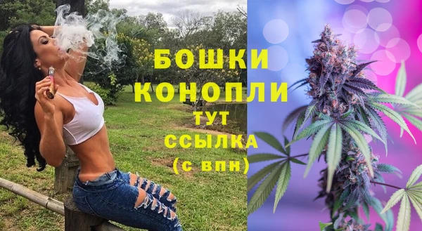 spice Гусиноозёрск
