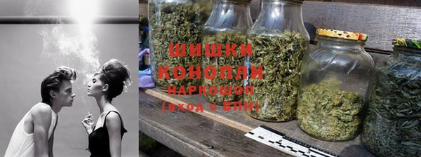 spice Гусиноозёрск