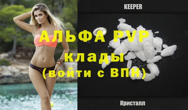 соль ск Горно-Алтайск