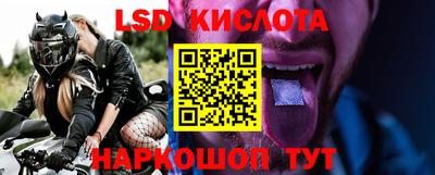прущие грибы Заводоуковск