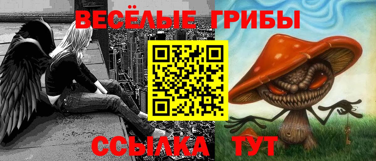Галлюциногенные грибы прущие грибы Дальнереченск