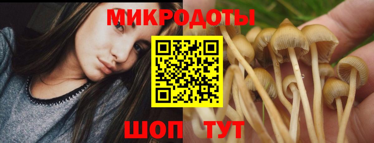 Дальнереченск  Галлюциногенные грибы ЛСД  как найти закладки  Галлюциногенные грибы мухоморы  Вход с VPN 