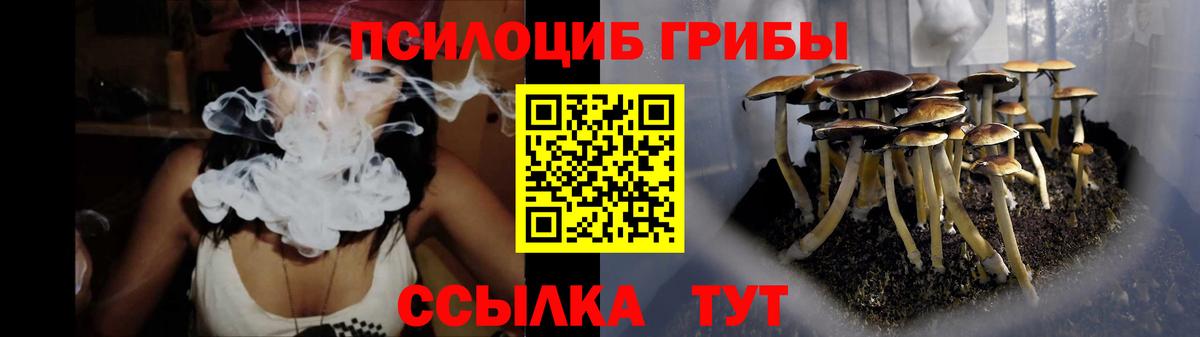 Галлюциногенные грибы мицелий  Галлюциногенные грибы ЛСД  Дальнереченск 